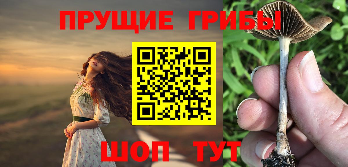 Галлюциногенные грибы мухоморы  Вход с VPN  Среднеуральск 
